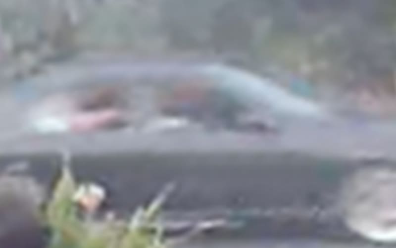 Two injured in serious assault after burnouts, police say | RNZ