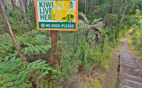Signage vandalised in the forest.