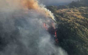 The fire on Waitara Rd had burned through 22 hectares of bush.
