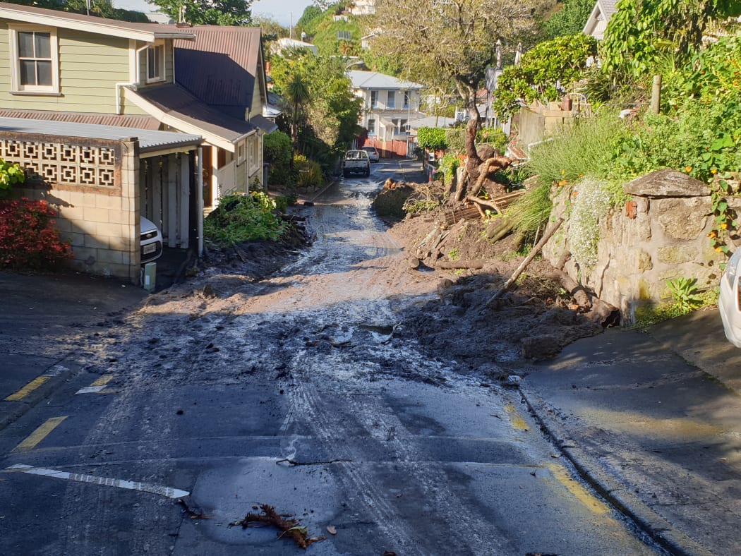 A path cleared through the slip on Brewster St, Napier