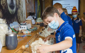 Havelock North Primary School students learn about the benefits of wool at these container-turned-sheds run by Campaign for Wool NZ.