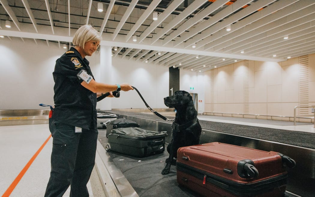 Picture of a detector dog and their handler