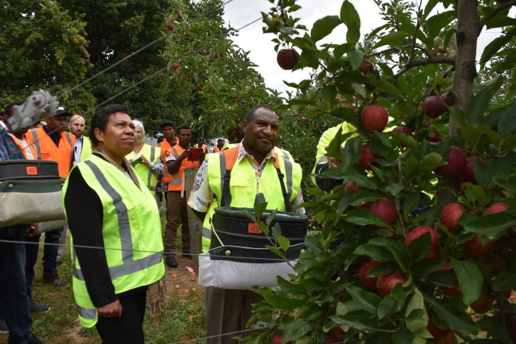 PNG prime minister James Marape and wife Rachael at T&G apple orchard in Hawke's Bay, New Zealand, trying out some fruit picking in the company of PNG RSE workers.