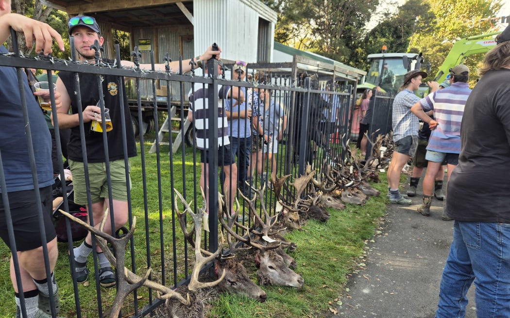 The event also helps the local community tackle pest species such as deer, pigs, goats, possums, and more, with plenty of prizes up for grabs for successful hunters.