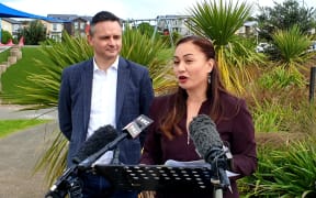 Green Party co-leaders James Shaw and Marama Davidson
