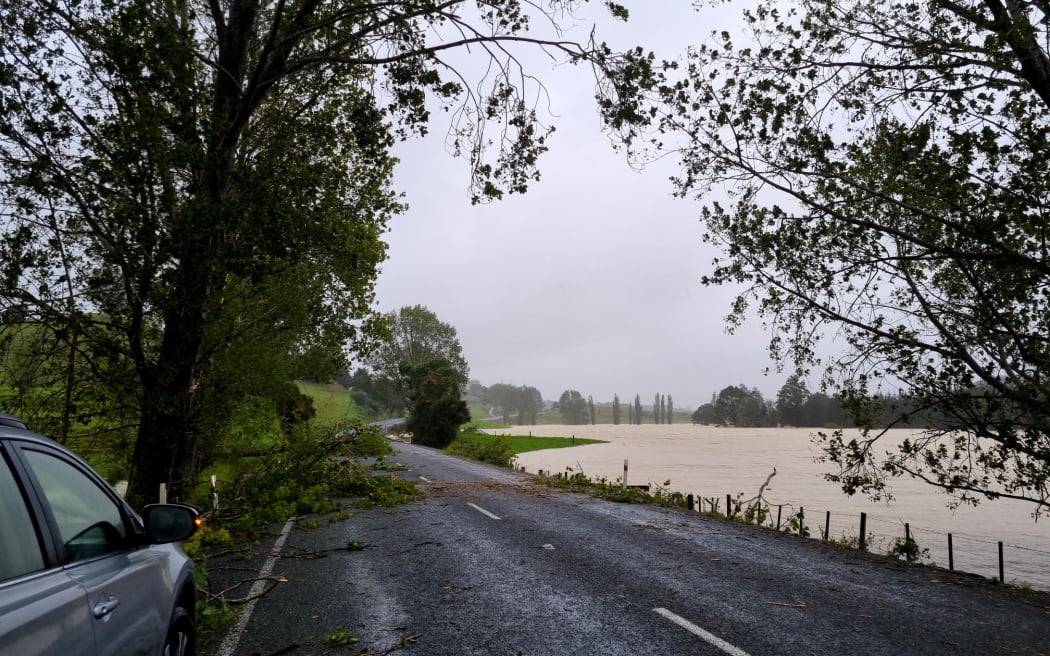 Trees down along State Highway 14, which goes from Dargaville to Whangārei.