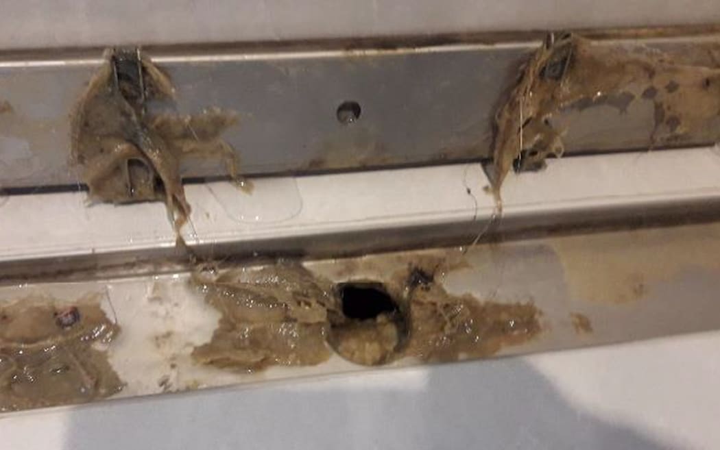 An example of the photos sent to the council showing bacteria buildup beneath tiling at the Woburn development.
