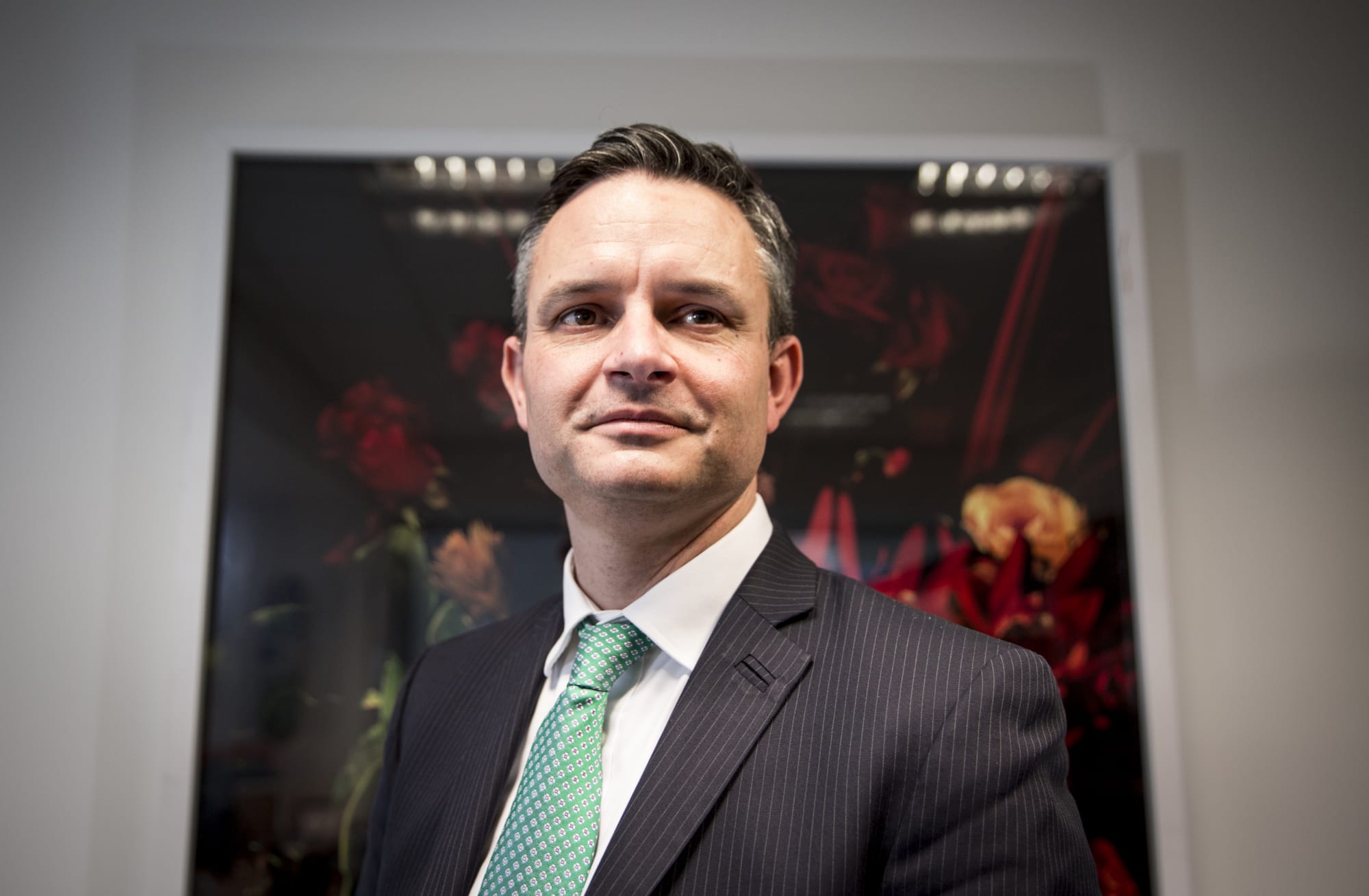 Green Party leader James Shaw