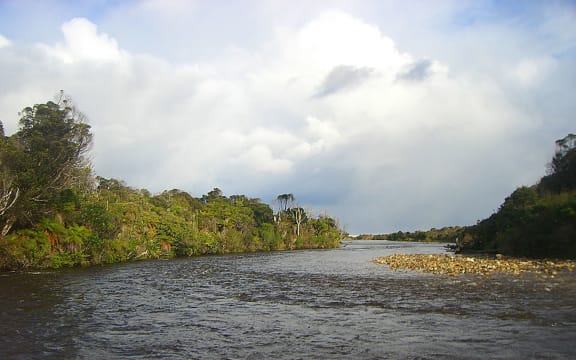 Wairaurahiri river in Southland looking out towards Foveaux Strait.
Near Waitutu Lodge in Fiordland