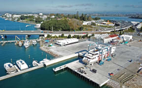 Tauranga marine precinct.