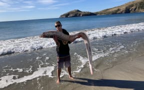 A man holds a large thin fish.