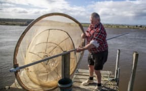 Man in shorts and check shirt with whitebait net on jetty above water