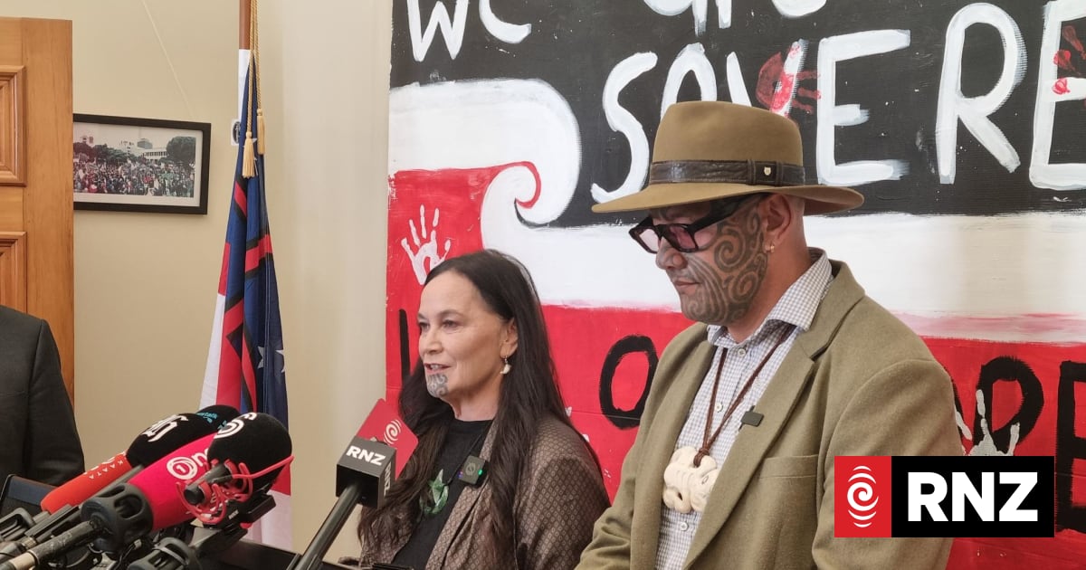Te Pāti Māori vows major constitutional reform by making Te Tiriti binding for Crown