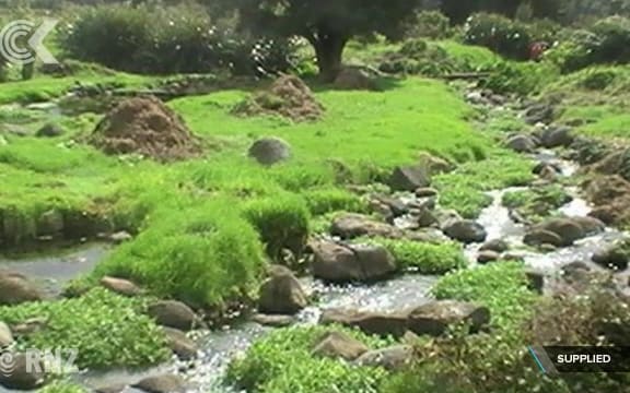 Hapu celebrate Govt buyout of water bottler Zodiac Holdings: RNZ Checkpoint