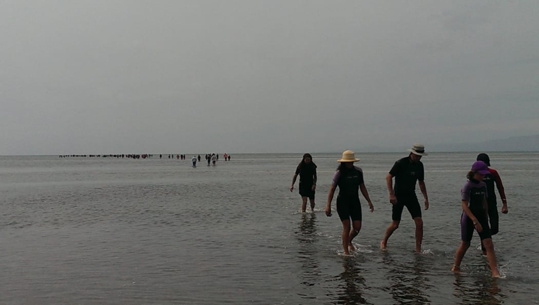 Volunteers assist with a whale stranding at the top of the South Island in 2014.