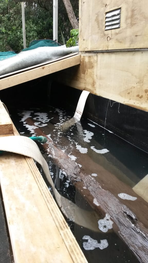 The Muriwai Beach waka submerged in a chemical bath in a specially built tank. it took a number of years of soaking for the chemical to fully replace all the water in the wood.