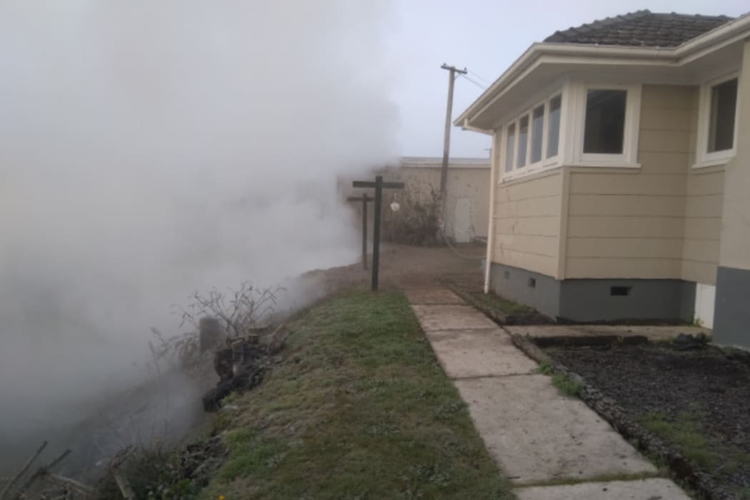 The pool appeared in a back garden in a Whakarewarewa home.
