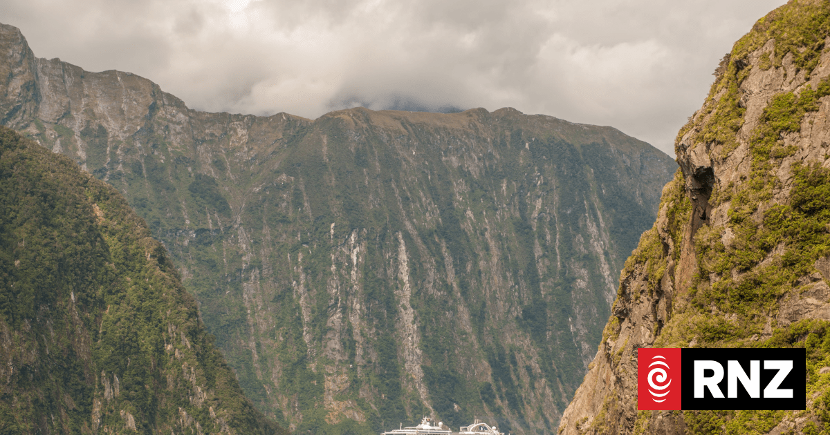 Environmental cost of cruise ships not worth the economic benefit, expert says