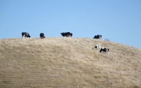 Soil moisture levels have dropped considerably in a month.