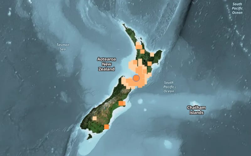 Magnitude 4.9 earthquake felt in Wellington | RNZ