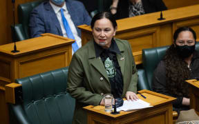 Debbie Ngarewa-Packer speaks in Parliament