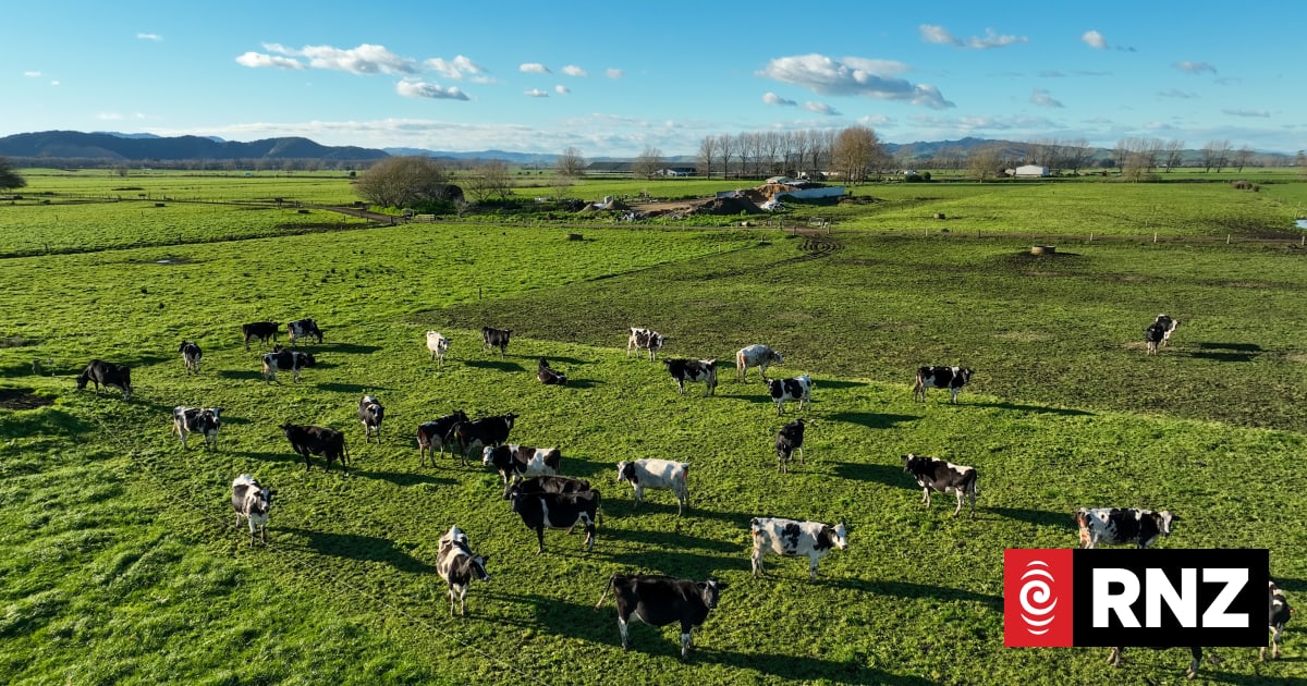 rnz.co.nz - RNZ | Te Reo Irirangi o Aotearoa - Farming sector buoyed by EU's new take on sustainable farming