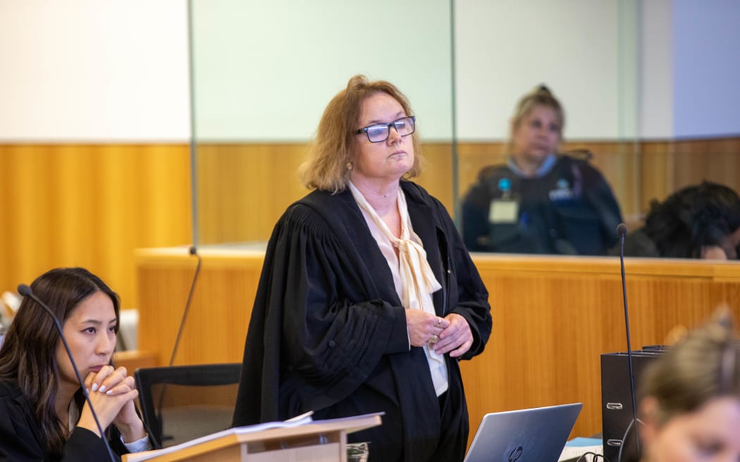 Susan Gray defence lawyer