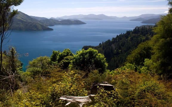 Queen Charlotte Track, Marlborough.