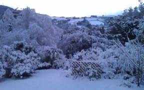 Snow blankets North East Valley in Dunedin.