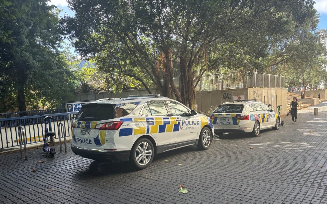 Protestors at Auckland's Aotea Square on Sunday 31 March want the New Zealand government to call for a ceasefire in Gaza.