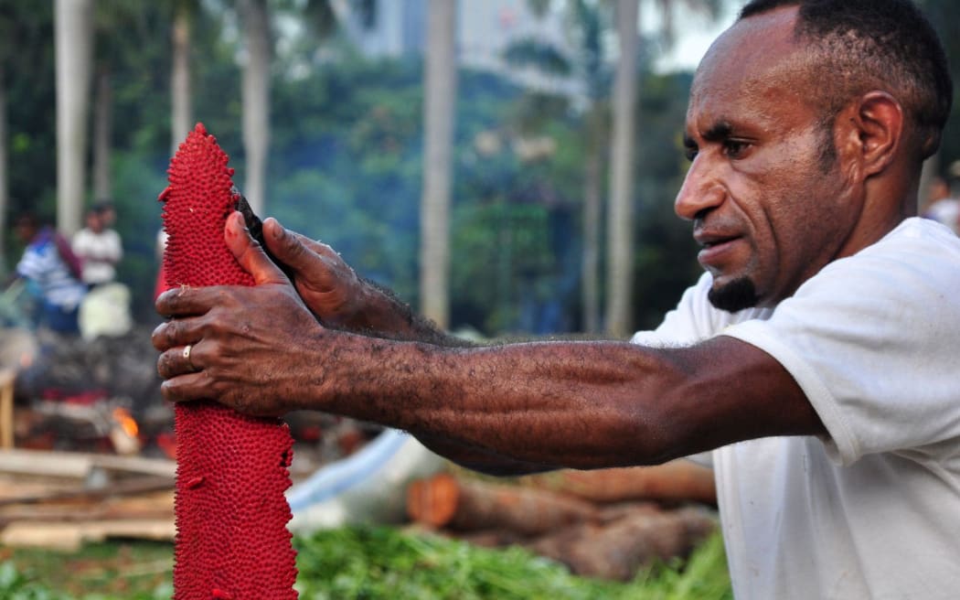 Jakarta, Indonesia - May 25, 2014 : Papua people peeling red fruit at the festival Papua in Monas, Jakarta