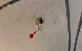 An investigation by MBIE's Tenancy Compliance and Investigations Team of the Takapuna property identified multiple issues including loose and exposed wiring and a lack of working smoke alarms.