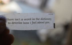 The positive lexicography project.