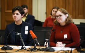 Youth MPs Christian Dennison (left) and Cha'nel Kaa-Luke (right) submit to the Maori Affairs Committee
