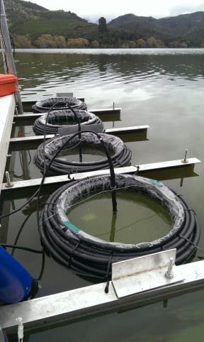 Sensors monitoring cyanobacteria on the lake's surface.