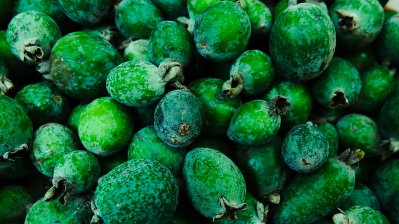 feijoas