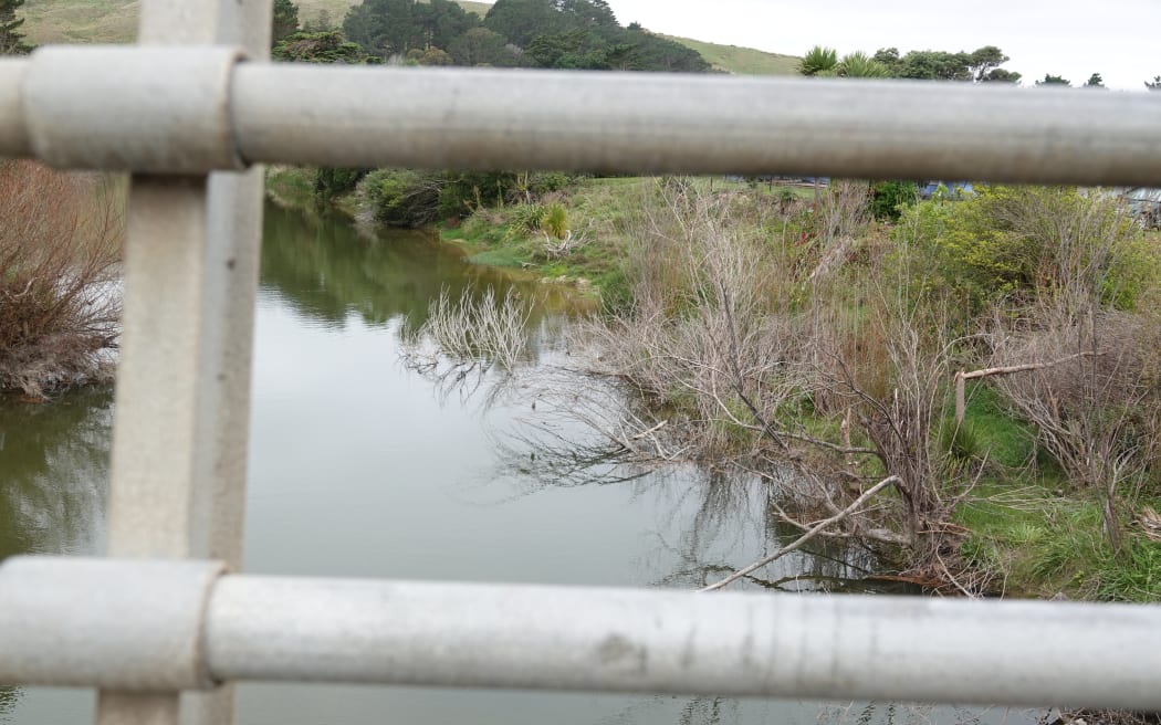 Trees, logs and other debris is visible in the Wainui River from the bridge in and out of Herbertville.