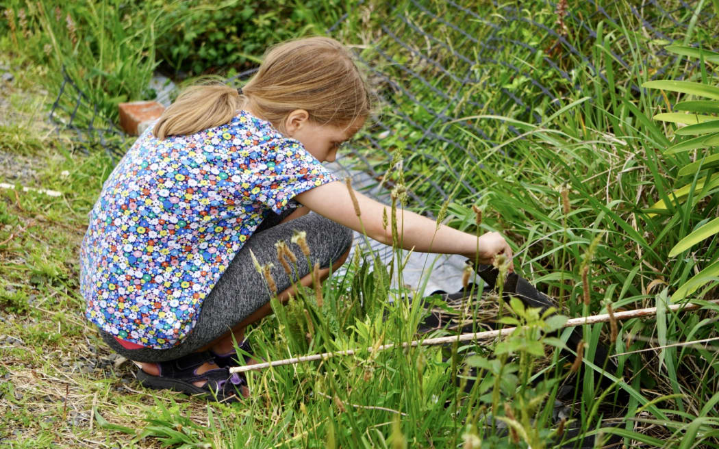 Caelyn Hossack, 9, has found a rare colony of Hawke's Bay skinks in Waipawa.