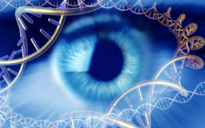 MODEL RELEASED. Genetics research, conceptual computer artwork. Human eye surrounded by molecules of DNA (deoxyribonucleic acid). (Photo by PASIEKA / APA / Science Photo Library via AFP)