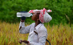 A woman farmer drinks water to find relief from a heatwave at a paddy field in Nagaon District, Assam, India, on June 2, 2026. (Photo by Anuwar Hazarika/NurPhoto) (Photo by ANUWAR HAZARIKA / NurPhoto via AFP)
