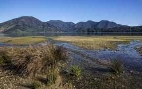 Kenepuru Sound