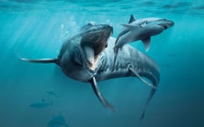 Sea monsters.