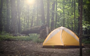 tent in the forest