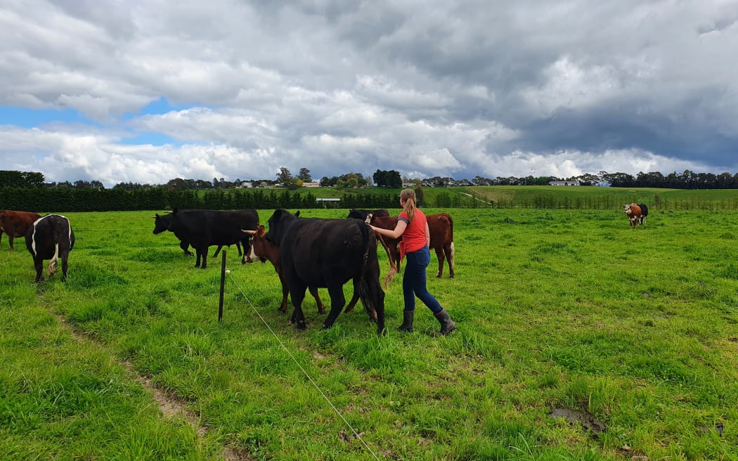 Claire has joined several regenerative farming groups to learn how to improve pasture and build resilient soils