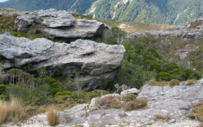 Bathurst Resources plans to mine this area of the Denniston Plateau.