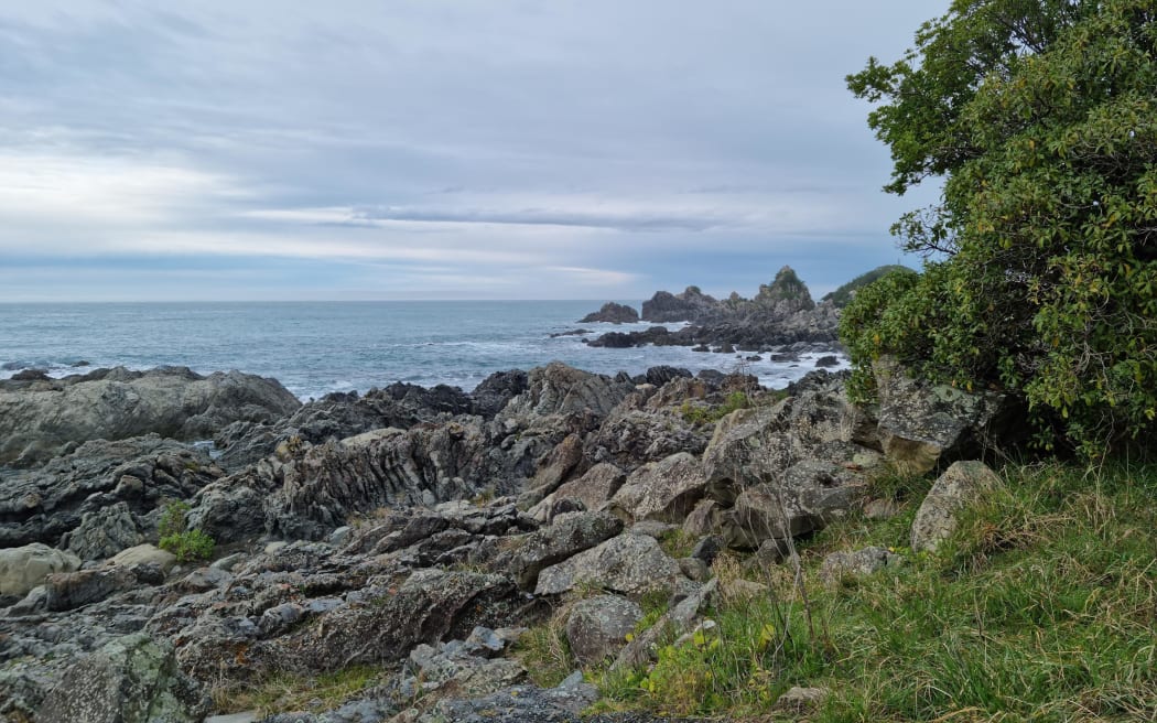 The fatal boating accident involved members of the Nature Photography Society of NZ who had travelled to Kaikōura from around the country for a field trip.