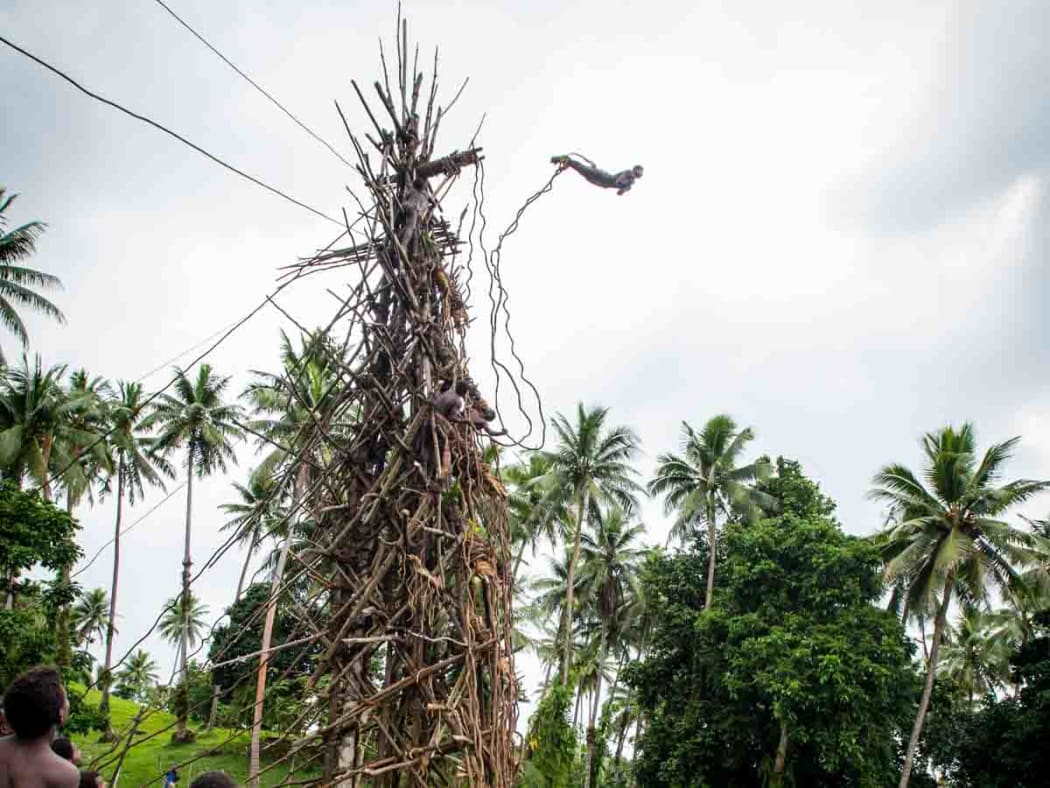 Nangol land-diver in Vanuatu's Pentecost.