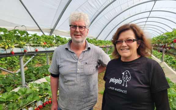 Mike and Angela Roy standing in one of their polytunnels