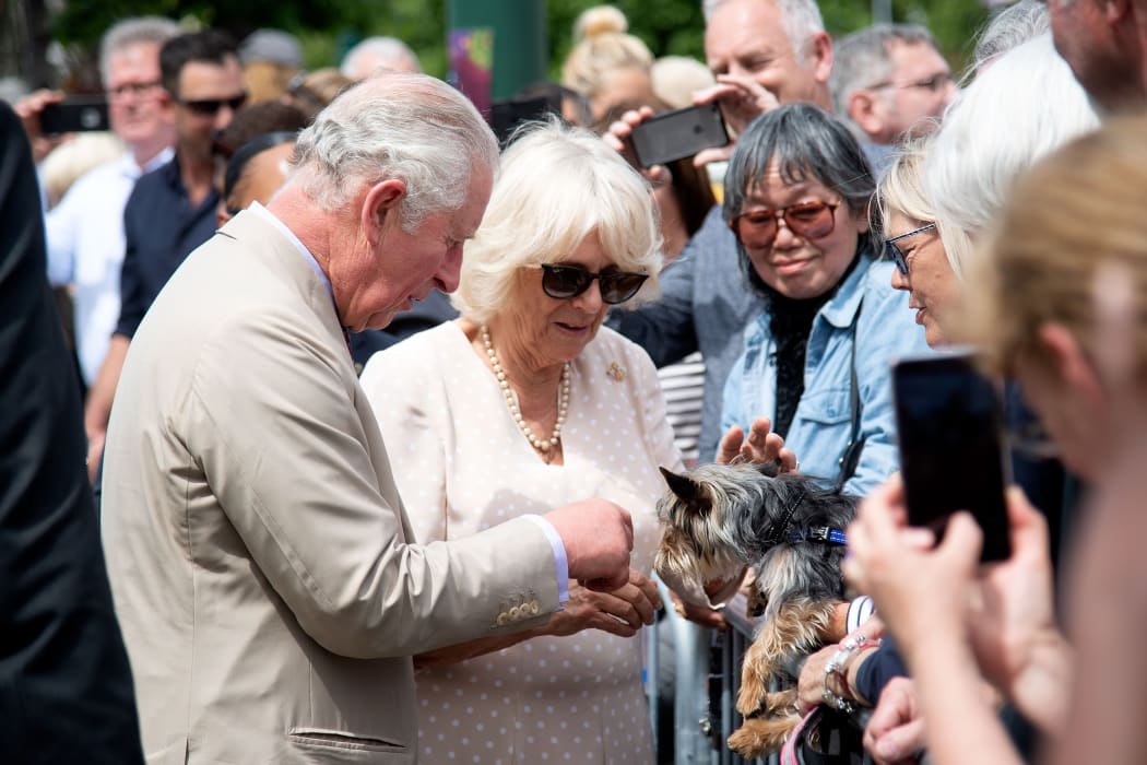 Prince Charles with Camilla pat a small dog during a walkabout in Cathedral Square in Christchurch on 22 November, 2019.