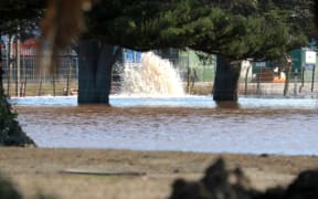 Cordons went up at Napier's Awatoto Road on 21 February, after a sewage spill in the area.